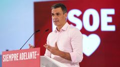 Pedro S�nchez, durante su intervenci�n en un acto pol�tico en M�laga. 