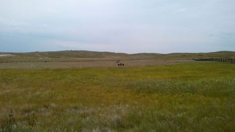 Otra vista del cementerio de Spassk, en la estepa de Karagand