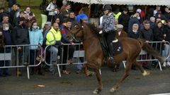<span lang= gl >Cabalos, xinetes e amazonas son os grandes protagonistas da Feira do 23 de Abril</span>