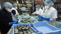 Calvo todav�a conserva la obligatoriedad del uso de las mascarillas en sus instalaciones.