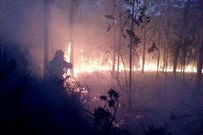 Sendos incendios forestales afectaron a dos zonas de O Camball�n.