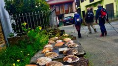 Los primeros peregrinos del Camino Ingl�s en Fene.