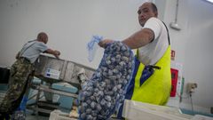 Mariscador con almeja babosa, el primer da de campaa en Ribeira