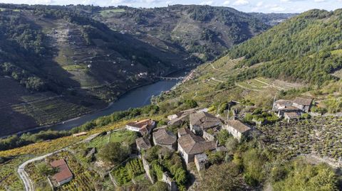 Los viñedos de la ribera de Chantada se levantan en la otra margen del Miño