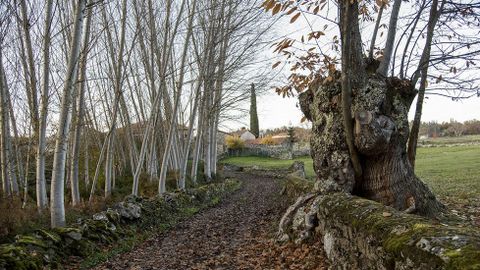 Un tramo del Camio da Ribeira cerca de la aldea de Lamas de Brosmos