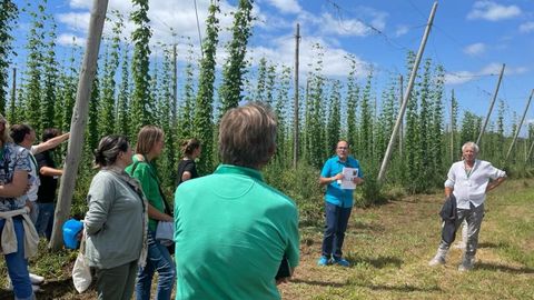 Participantes no congreso internacional deste mes, de visita nunha plantacin de lpulo