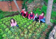 Los huertos urbanos ser�n los protagonistas de esta edici�n