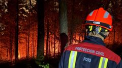 El incendio se declar� en una zona de dif�cil acceso del Monte Castrove