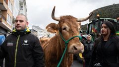 Diego Cascudo teme un mal futuro para ganaderos como �l si sale adelante el acuerdo con Mercosur