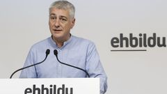 El portavoz adjunto de Bildu en el Congreso, Oskar Matute.