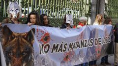 Vista de la protesta este viernes contra la caza de lobos en Oviedo