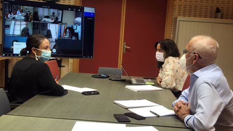 La consejera de Derechos Sociales y Bienestar, Melania �lvarez, celebrado una videoconferencia con representantes de la comisi�n de Servicios Sociales de la Federaci�n Asturiana de Concejos (FACC), acompa�ada por la directora general de Planificaci�n Ordenaci�n y Adaptaci�n al Cambio Social, Gimena Pascual y el director general de Servicios Sociales y Mayores, Joaqu�n Monteagudo.