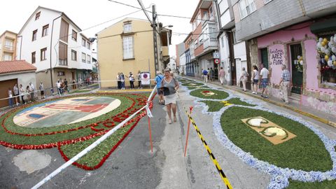 Alfombras Florales de Ares