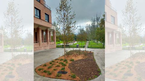 Plantaci�n de arbolado de Gij�n Ecoresiliente en el municipio gijon�s