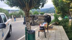 El automvil sufri un vuelco tras chocar contra un rbol y qued levantado sobre un costado