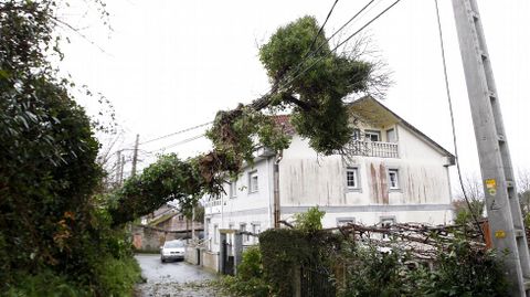 Tendido eléctrico afectado en Chouchiños (Santiago)