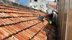 La limpieza del tejado del CEIP Froebel de Pontevedra fue la primera actuaci�n de mantenimiento en colegios que realiza este verano el Concello 