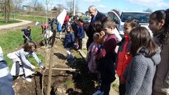 As fotos do d�a da �rbore en Monforte e B�veda