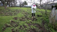 Fina Fern�ndez, observando los da�os causados por los jabal�es en su finca de A Cabana