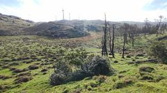 Fen de A Toxiza, en O Xistral