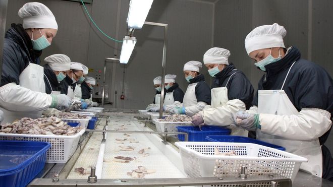 Trabajadoras de la empresa de elaboracin de congelados Profand