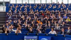 Los eurodiputados votan a mano alzada durante una sesi�n de votaci�n en el marco de la sesi�n plenaria del Parlamento Europeo en Estrasburgo.