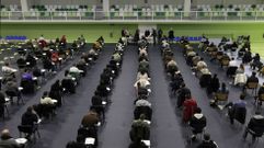 Pruebas en el pabell�n de A Pinguela para una convocatoria anterior