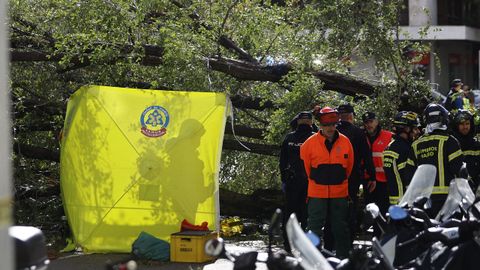 La ca�da de un �rbol deja una joven fallecida y cinco heridos en Madrid