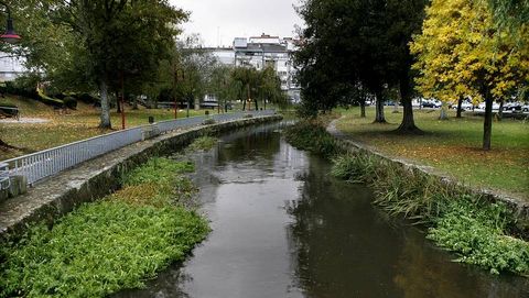 El Anll�ns, a su paso por el San Marti�o.