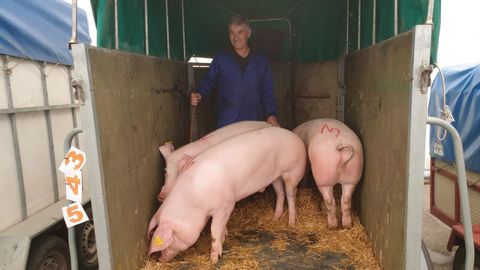 Feira do porco da ceba en Cospeito: Luis Pea, vendedor de Outeiro de Rei. 