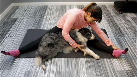 Patricia Guerrero, haciendo posturas en una sesin de doga