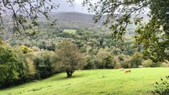 El camino de las dos estapas est� rodeado de bosques y prados, adem�s de inmuberables animales