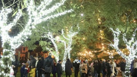 Imagen de archivo de las luces de Navidad de Nar&oacute;n.