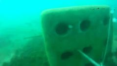 Los bloques de Gibraltar, a vista de buzo