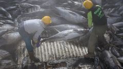 Atuneros espaoles como este acreditan su sostenibilidad social y ambiental con la marca Atn de Pesca Responsable, y Friend of the Sea avala la de la merluza fresca de Puerto de Celeiro