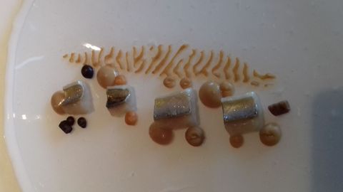 Caballa con �tempeh� de jud�as del �Ganxet�.