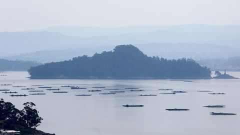 Ra de Pontevedra
