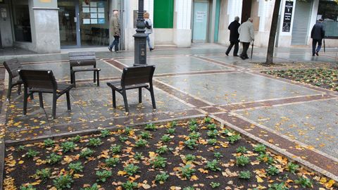 Hojarasca en el paseo de Bego�a