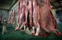 El gobierno reconoci� ayer una deuda de Cocarga con el Concello de al menos 54.000 euros. 