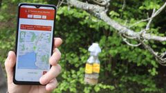 Trampa contra la avispa velutina instalada en Poio.