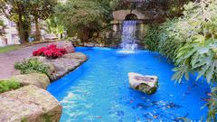 Estanque del parque de Les Conserveres (Cand�s)