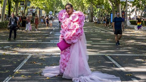 Un asistente a la manisfestacin del Orgullo, celebrada el 6 de julio en Madrid