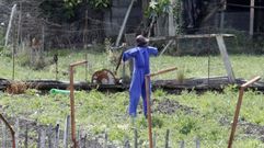 Espantapjaros en una foto de archivo.