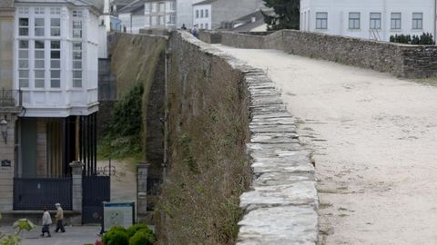 Las malas hierbas crecen en todos los rincoles de la Muralla, a la espera de que las corten