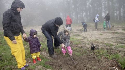 Plantaci�n de �rbores aut�ctonas no monte de Frox�n