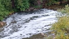 Vertido en el r�o Nal�n