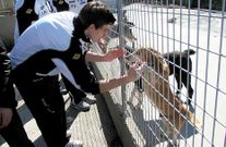 Adri�n Chapela, con un perro en la Protectora de Animales