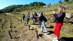 Los creadores de contenidos digitales en un momento de su visita a la Ribeira Sacra, organizada por la agencia Turismo de Galicia