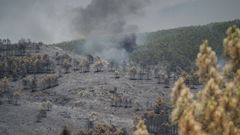 Extensi�n forestal quemada por el incendio, a 18 de julio de 2026, en La Mierla, Guadalajara.