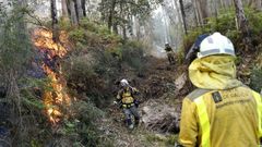 Brigadas de extincin de Medio Rural, en un incendio ocurrido este verano en Arousa